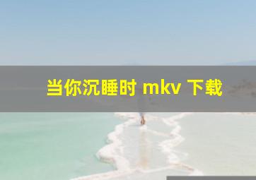 当你沉睡时 mkv 下载